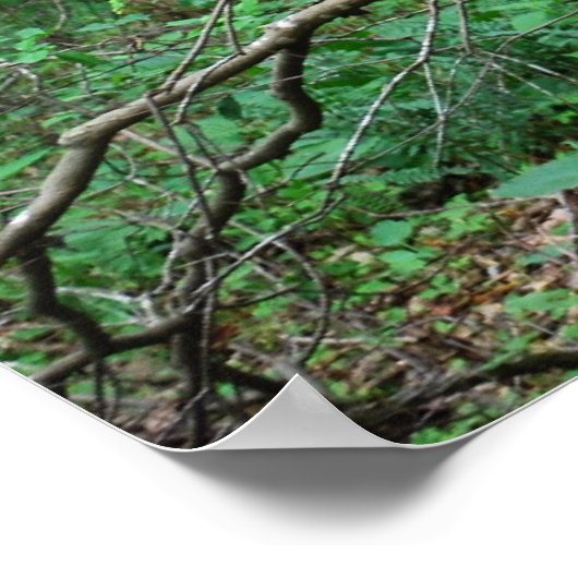 Poster L'affiche de Outhouse (Coin)