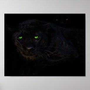 Poster L'affiche de panthère noire