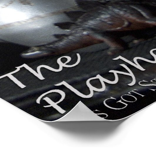 Poster L'affiche de Playhaus (Coin)