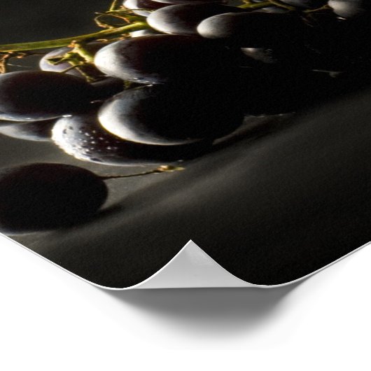 Poster L'affiche de Wine Lover (Coin)