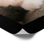 Poster L'affiche d'écoute (Coin)