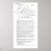 Poster L'affiche des mines de mots (Devant)