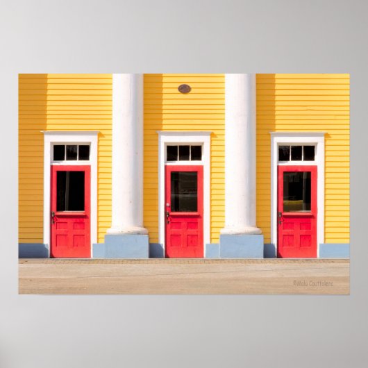 Poster L'affiche des portes (Devant)