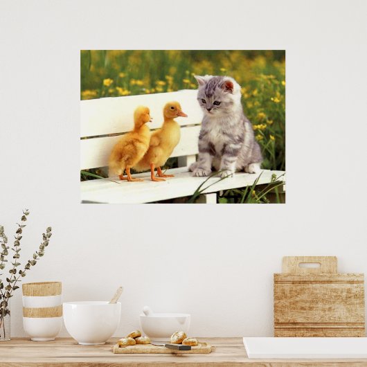 Poster L'affiche du canard laid (Cuisine)