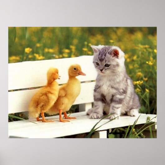 Poster L'affiche du canard laid (Devant)