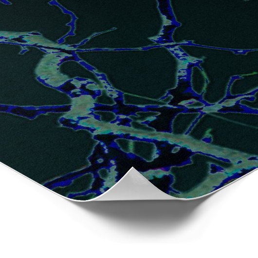 Poster L'affiche du Corbeau (Coin)