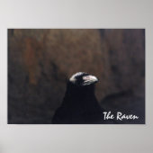Poster L'affiche du Corbeau (Devant)
