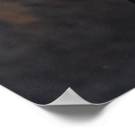 Poster L'affiche du Corbeau (Coin)