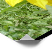 Poster L'affiche du géant SUNFLOWER (Coin)