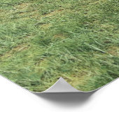 Poster L'affiche du lion américain (Panthera atrox) (Coin)