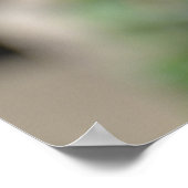 POSTER L'AFFICHE DU TURACO DE GUINÉE (Coin)