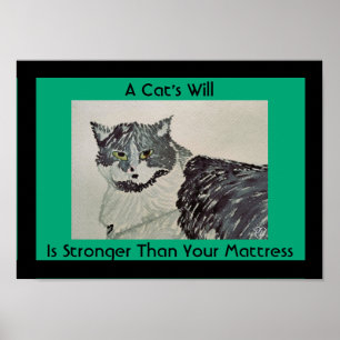 Poster L'affiche d'un chat