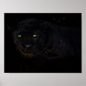 Poster L'affiche en panthère noire (Devant)