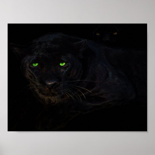 Poster L'affiche en panthère noire (Devant)