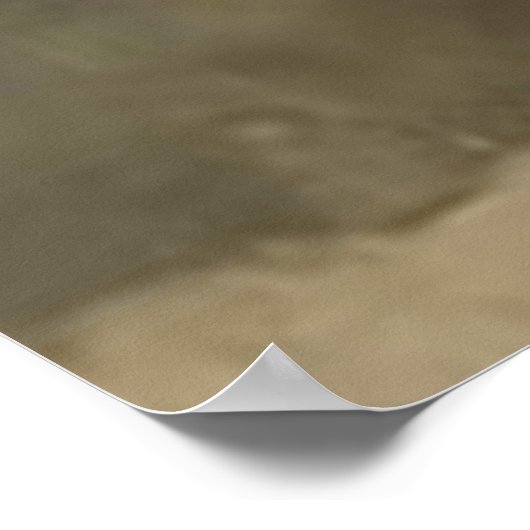 Poster L'affiche invisible (Coin)