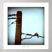 Poster L'affiche KISS (Devant)