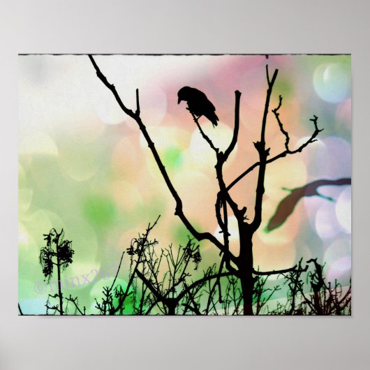 Poster L'affiche Lonely Crow (Devant)