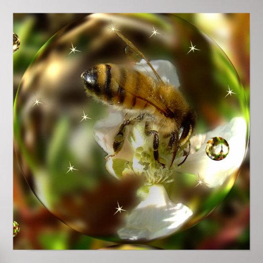 Poster L'affiche mondiale d'une abeille (Devant)