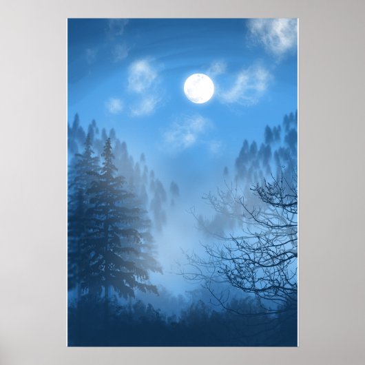 Poster L'affiche Silent Canopy (Devant)