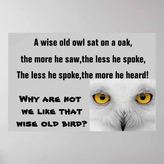 Poster L'affiche WISE OLD OWL (Devant)