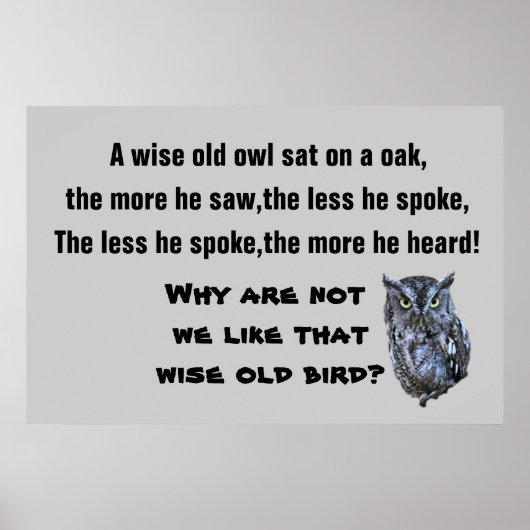 Poster L'affiche WISE OLD OWL (Devant)
