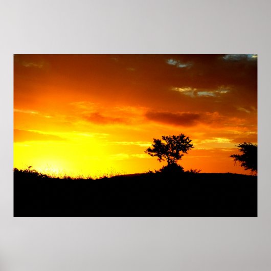 Poster L'Afrique dort (Devant)