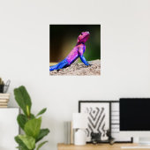 Poster L'Agama à tête plate de Mwanza sur le rocher (Bureau à domicile)