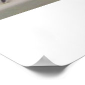 Poster Lagarto Póster (Coin)