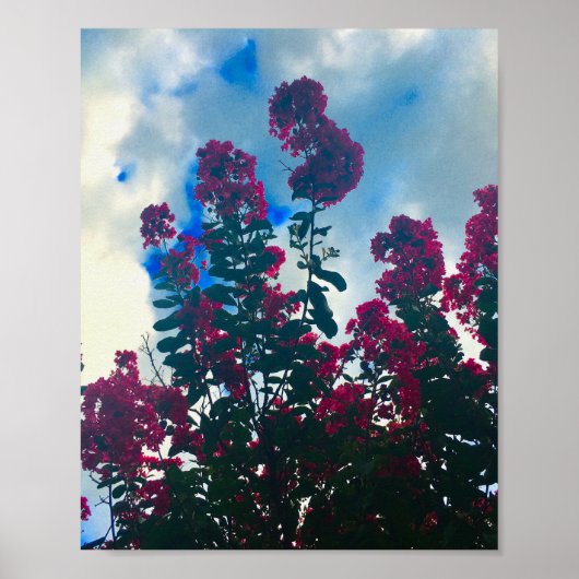 Poster lagerstroemia un jour nuageux (Devant)