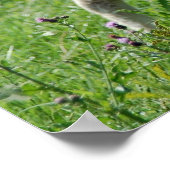 Poster L'Agneau (Coin)