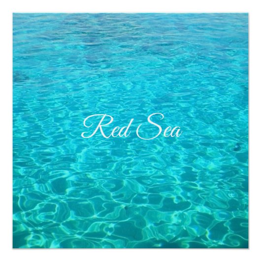 Poster Lagon azur en mer Rouge (Devant)