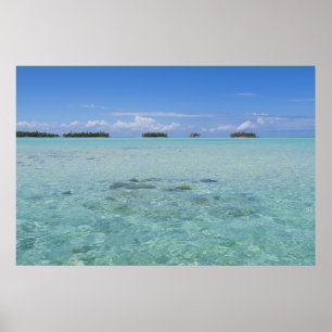 Poster Lagon bleu de Rangiroa