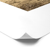 Poster Lagon de Playa del Rey, 1904 - Vue Sud (Coin)