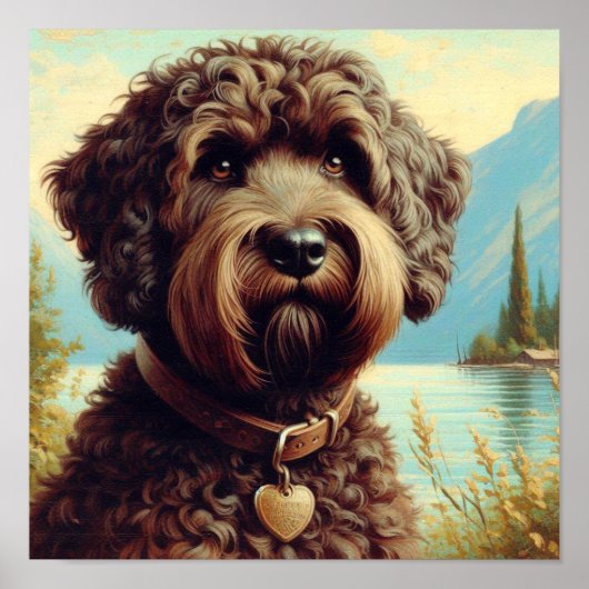 Poster Lagotto vintage Romagnolo Peinture (Devant)