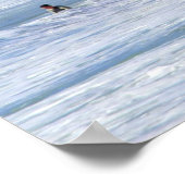 Poster Laguna Beach Californie (Coin)