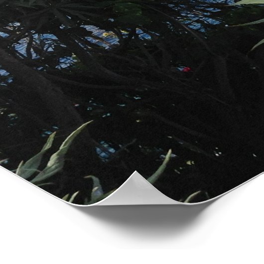 Poster Laguna Beach Vue sur l'océan (Coin)