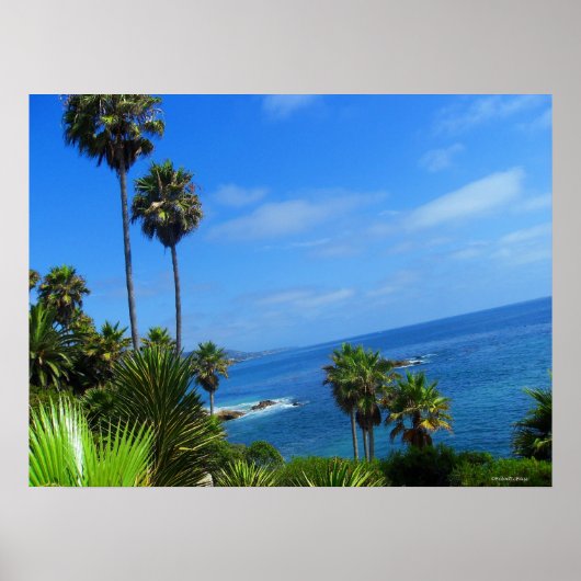 Poster Laguna Palm Trees et Ocean Bliss (Devant)