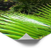 Poster Laguna Palm Trees et Ocean Bliss (Coin)