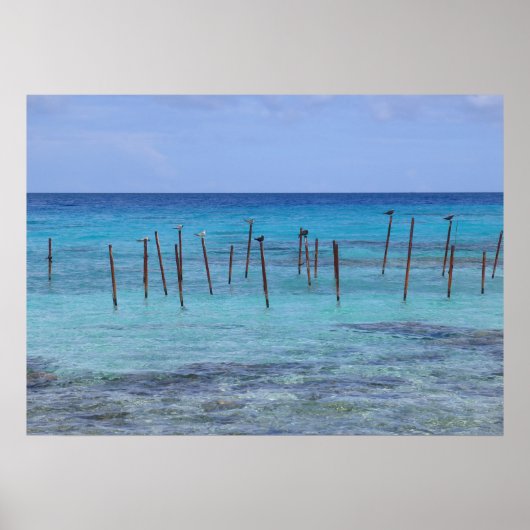 Poster Lagune de Rangiroa (Devant)