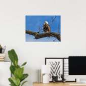 Poster L'aigle royal chauve (Bureau à domicile)