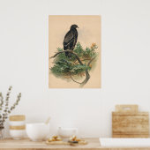 Poster L'aigle tacheté par Joseph Wolf (Cuisine)