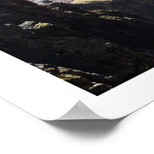 Poster L'aiguille (Coin)