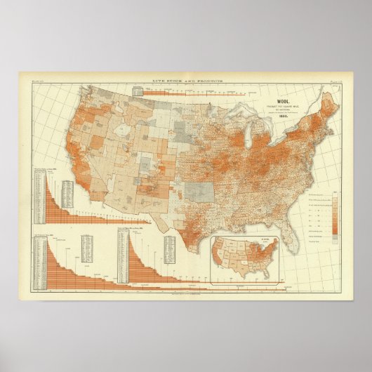 Poster Laine (Devant)