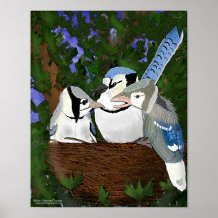 Poster Laissant au nid l'affiche de geai bleu