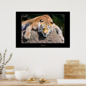 Poster Laisser Dormir Les Tigres Mentir (Cuisine)