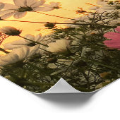 Poster Laissez entrer le soleil. Inspirant (Coin)
