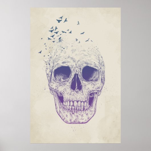 Poster Laissez-les voler (Devant)