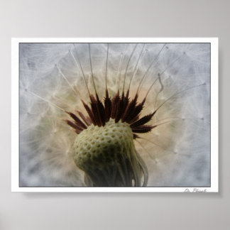 Poster Laissez-moi porter par la brise