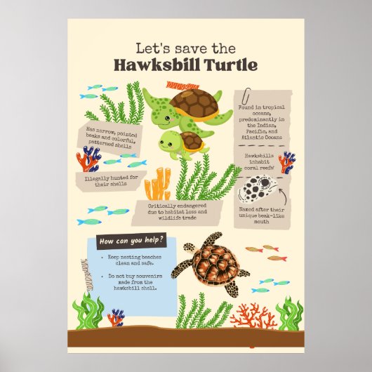 Poster laissez sauver la tortue (Devant)