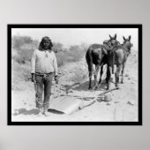 Poster Lait à trait mule et indienne 1920 (Devant)